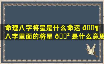 命理八字将星是什么命运 🐶 （八字里面的将星 🌲 是什么意思）